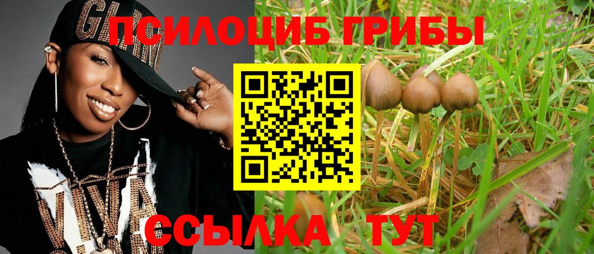 Новоуральск  Галлюциногенные грибы MAGIC MUSHROOMS  Псилоцибиновые грибы Psilocybine cubensis  Вход с VPN 
